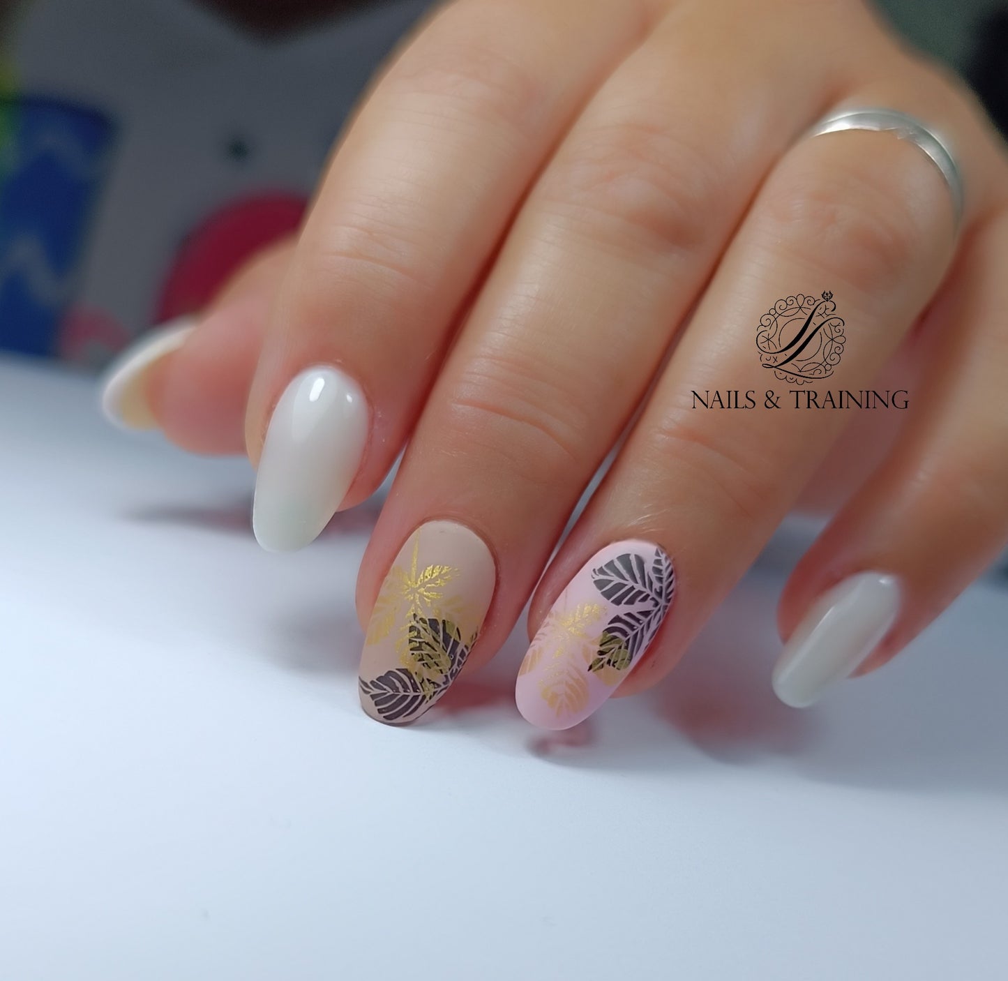 BEGINNERS HARD GEL NAILS EXTENSIONS COURSE